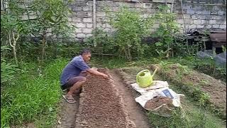Aktifitas dikebun pekarangan rumah