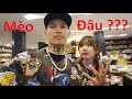 Đi Nhà Sách Mua Con Mèo Mập (Vlog 131) ft TramTabo