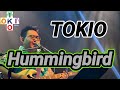 【弾き語り】Hummingbird / TOKIO Cover 『ぐり猫屋的 ALL☆STAR』より【TOKIO+】【トキプラ】