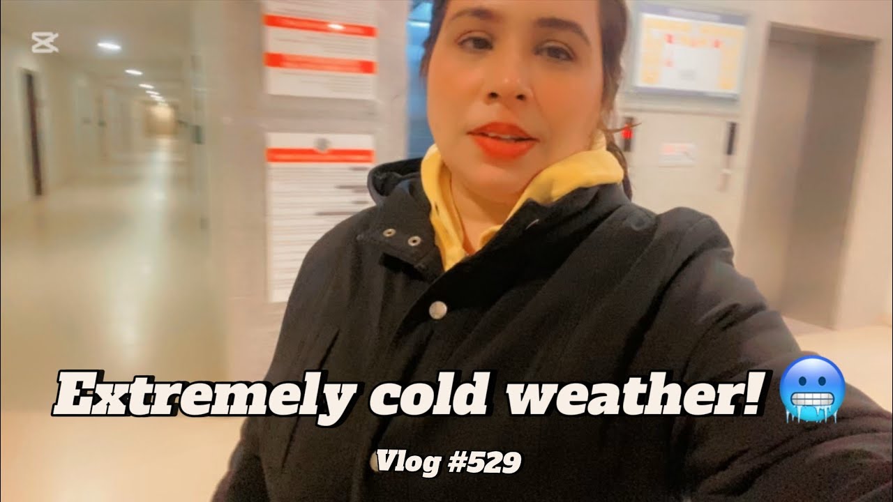 EXTREMELY COLD WEATHER 🥶 | VLOG #529 | BINISH RIZWAN - YouTube