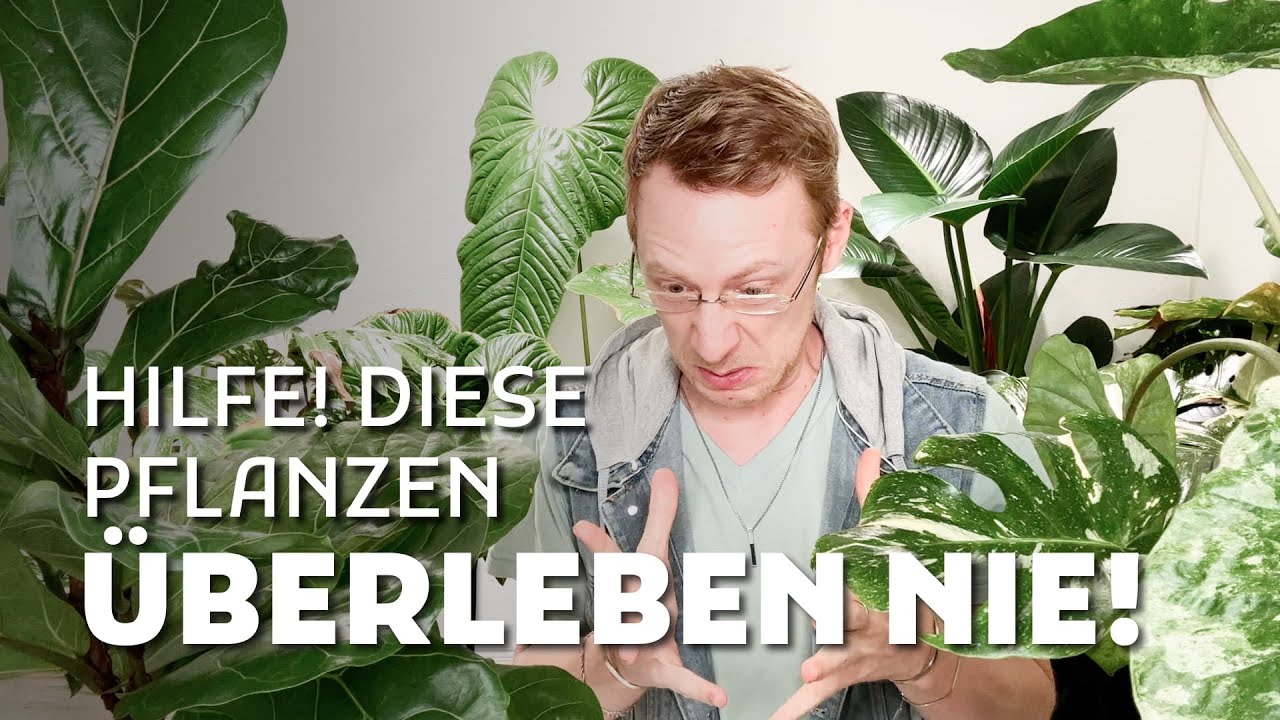 Diese Pflanzen überleben NIE bei dir – wenn du DAS nicht weißt!