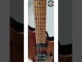 EVH | Wolfgang Standard Erotic | 5107003516 | Chennai Musicals | 6374515264