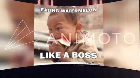 Animoto an intro maker for your new channel