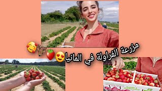 فلوك الربيع مع العائلة~ اكلنا فراولة من المزرعة وشفنا انواع الغزال