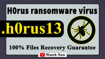 || SOLVED ✅🔘|| H0rus ransomware virus – removal and decryption