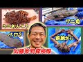 42.珍生物いっぱい❗️50m巨大底引き網 in 小豆島