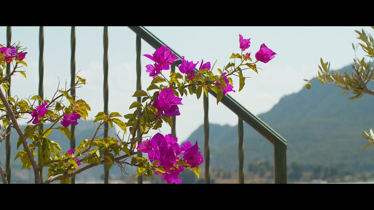 Pedro Cano. Pintar el viaje. (DOCUMENTAL)