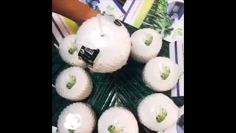 Hướng dẫn sử dụng dừa gọt ngược Bến Tre xuất khẩu