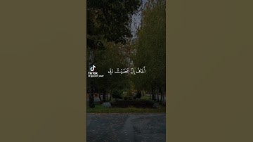 استمع القرآن الكريم #قران_كريم #قرآن #comedianmahmoudagamey #محمودعجمي