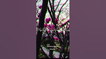 قران كريم ارح قلبك وسمعك #quran #قران #احمد_العجمي #المصحف #duet @قران_في_دقيقة