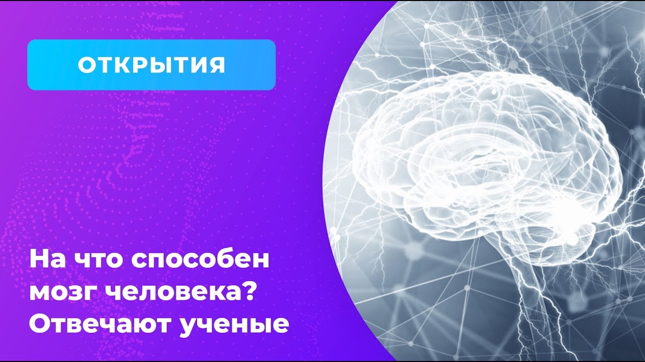 Тайны головного мозга. Тайный головного мозга. Видео тайны мозга.