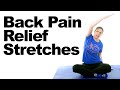 Back Pain Relief Stretches – 5 Minute Real Time Routine