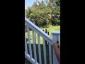 How to remove a deck post cap. How to remove a deck post cap.