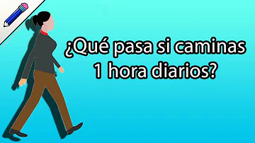 ¿Es suficiente caminar una hora al día?