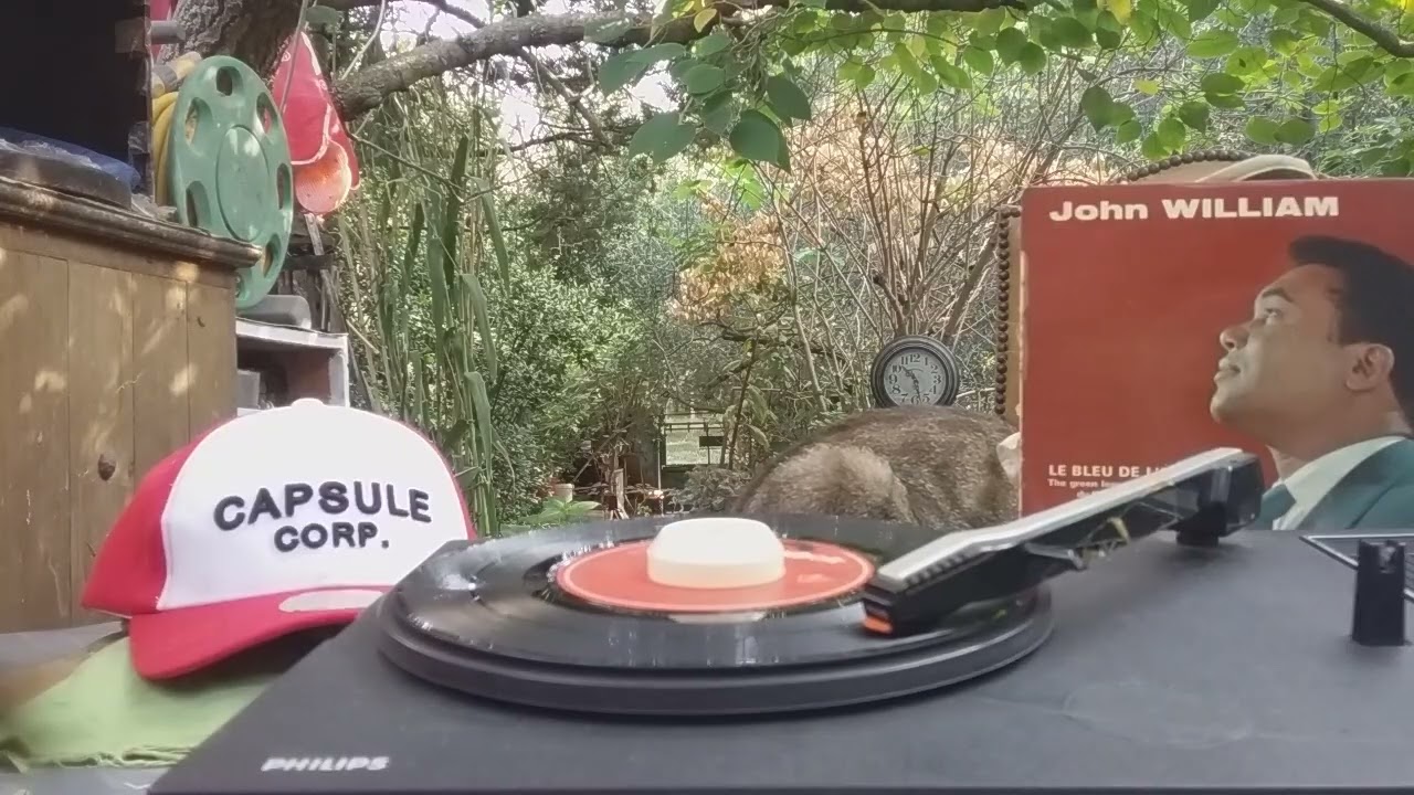 John William - Thierry La Fronde - 1963