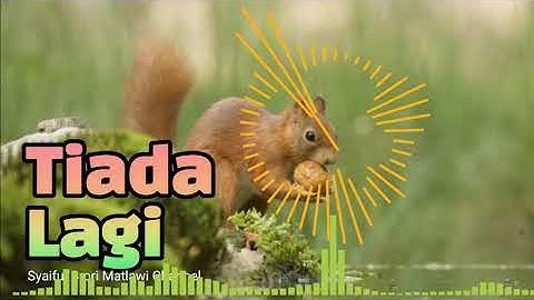 Lagu Kenangan: "Tiada Lagi"  (The Mercys)