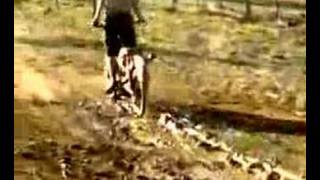 postie thrashing