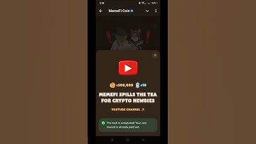 MemeFi Spills The Tea For Crypto Newbies