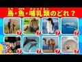 【全35問】どうぶつ分類クイズ｜鳥・魚・ほ乳類のどれ？