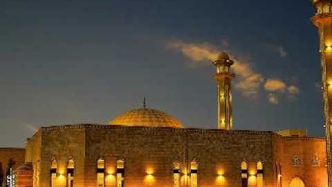 سورة هود - محمد بن أحمد هزاع