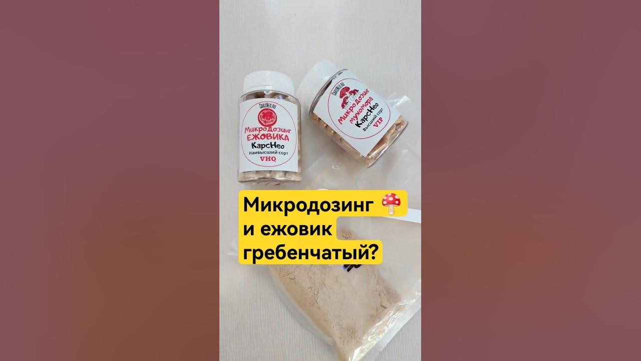Ежовик гребенчатый: полезные свойства и применение | Greelife