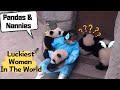 【Panda Theme】Nanny Mei Is The Luckiest Woman In The World! | iPanda