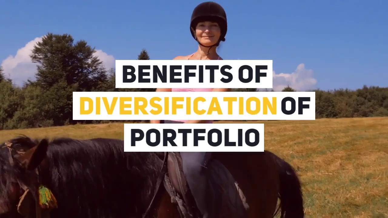 Stock Market Training Hyderabad : Why Should For Diversification of Portfolio? : AS Chakravarthy