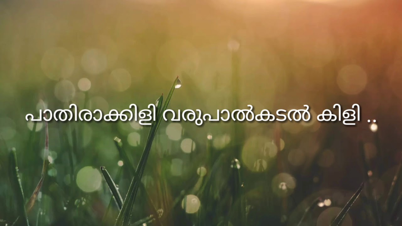 Pathiraakkili varu palkadal kili with lyrics kizhakkan pathrose