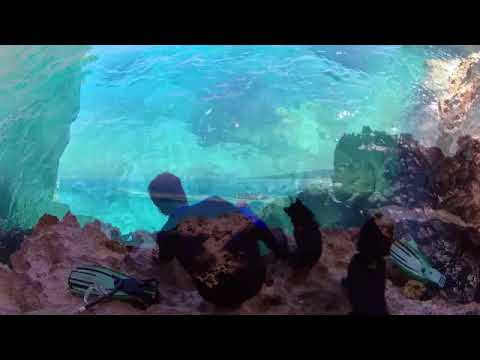 Philippines - Schipperke Zotke and Zonne discover Borocay's Flying Dogs sea caves