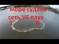 Кастинговая сеть VS паук Петровича 6м, язь, судак! обь!