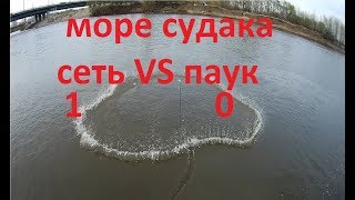 Кастинговая сеть VS паук Петровича 6м, язь, судак! обь!