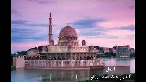 النمل/القارئ عماد عبد الرزاق