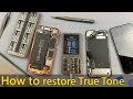 How to restore True Tone on iPhone using iCopy Programmer