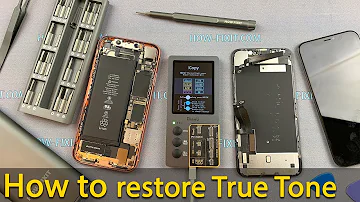 How to restore True Tone on iPhone using iCopy Programmer