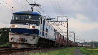 EF210-339牽引 1092レ物井〜佐倉(モノサク)にて。