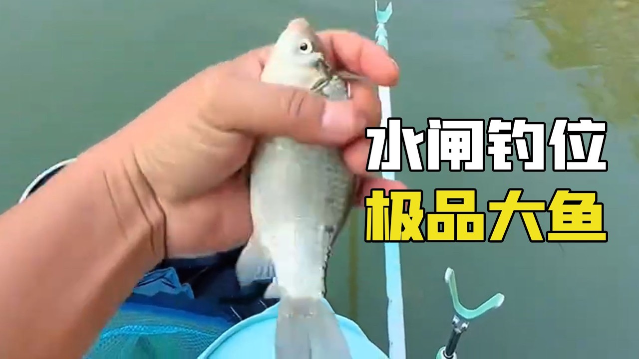 野钓狂口钓位，臨走收桿還來一條極品！没想到结局最大鱼上钩炸锅原因炸裂！
