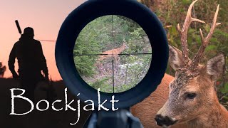 Bockjakt 2023 - Lockjakt på bock, Roe Buck hunting 2023