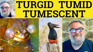 😎 Turgid vs Tumid vs Tumescent Meaning - Turgid Definition - Tumid Defined - Tumescent Turgid Tumid