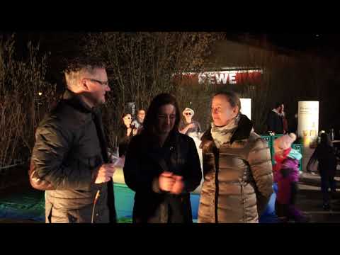 REWE Gruber Pool Challenge