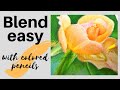 How to blend colored pencils easy and smoothly  my process of drawing rose with colored pencils