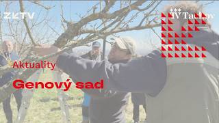 Genový sad