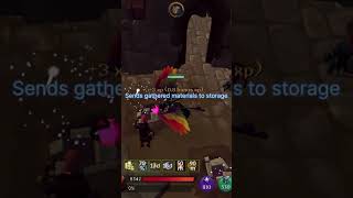 Sign of porter for archeology @runescape