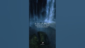 { أَوَلَمۡ يَرَوۡاْ إِلَى ٱلطَّيۡرِ فَوۡقَهُمۡ صَٰٓفَّٰتٖ وَيَقۡبِضۡنَۚ } || بصوت القارئ شريف مصطفى
