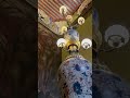Mira lo que pasa en CENTRO HISTÓRICO y casa de los AZULEJOS México no es lo que parece#mexico #lugar