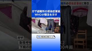 WHO ガザ避難所の感染症蔓延に懸念　人が殺到し清潔な水や衛生設備が不足｜TBS NEWS DIG #shorts