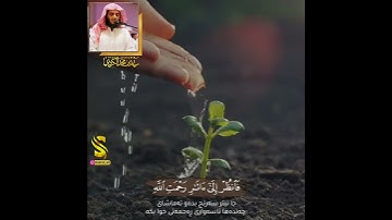 رعد الكردي من سورة الروم الآية (٥٠)