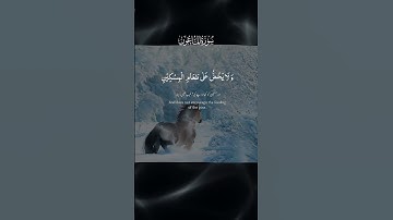 #القرآن_الكريم #تلاوة_هادئة #سورة الماعون #اكسبلور #المصحف