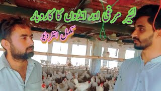 Layer Farming in pakistan || Egg farming in pakistan || Egg business || Layer Hen Farming in pakista