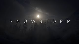 Snowstorm in the forest at night | Ambient Sound