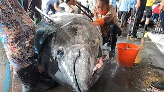 Taiwan street food - 400KG giant bluefin Tuna From fishing boat to Table